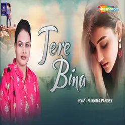 Tere Bina